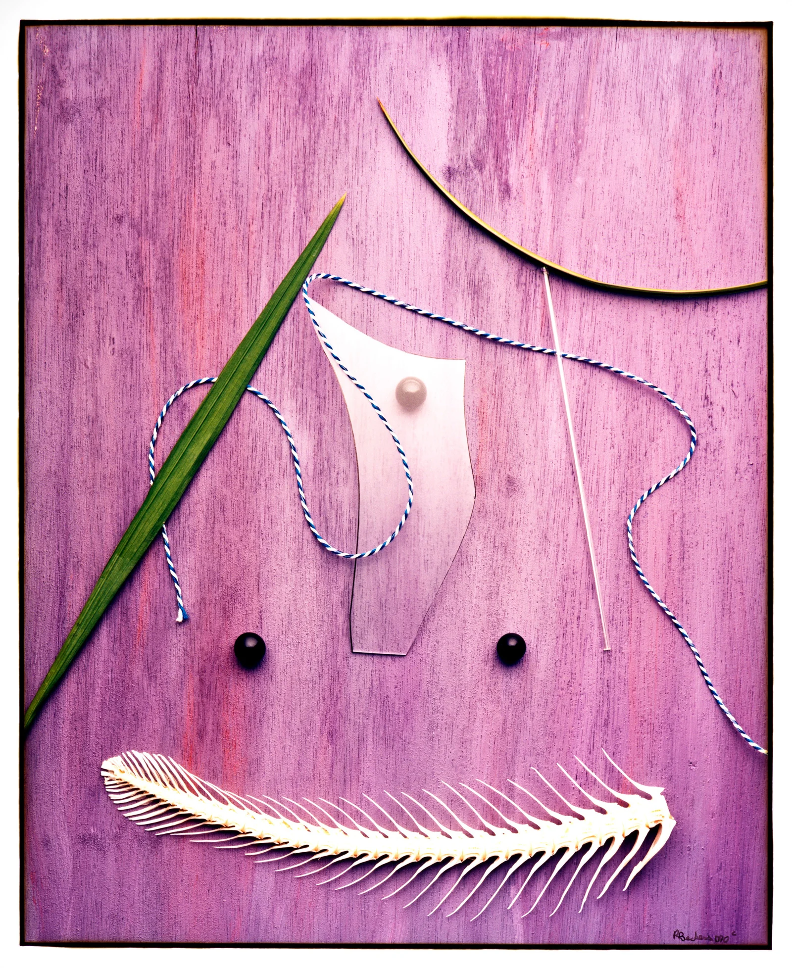 The Origin of Species — foto 1, Raf Beckers