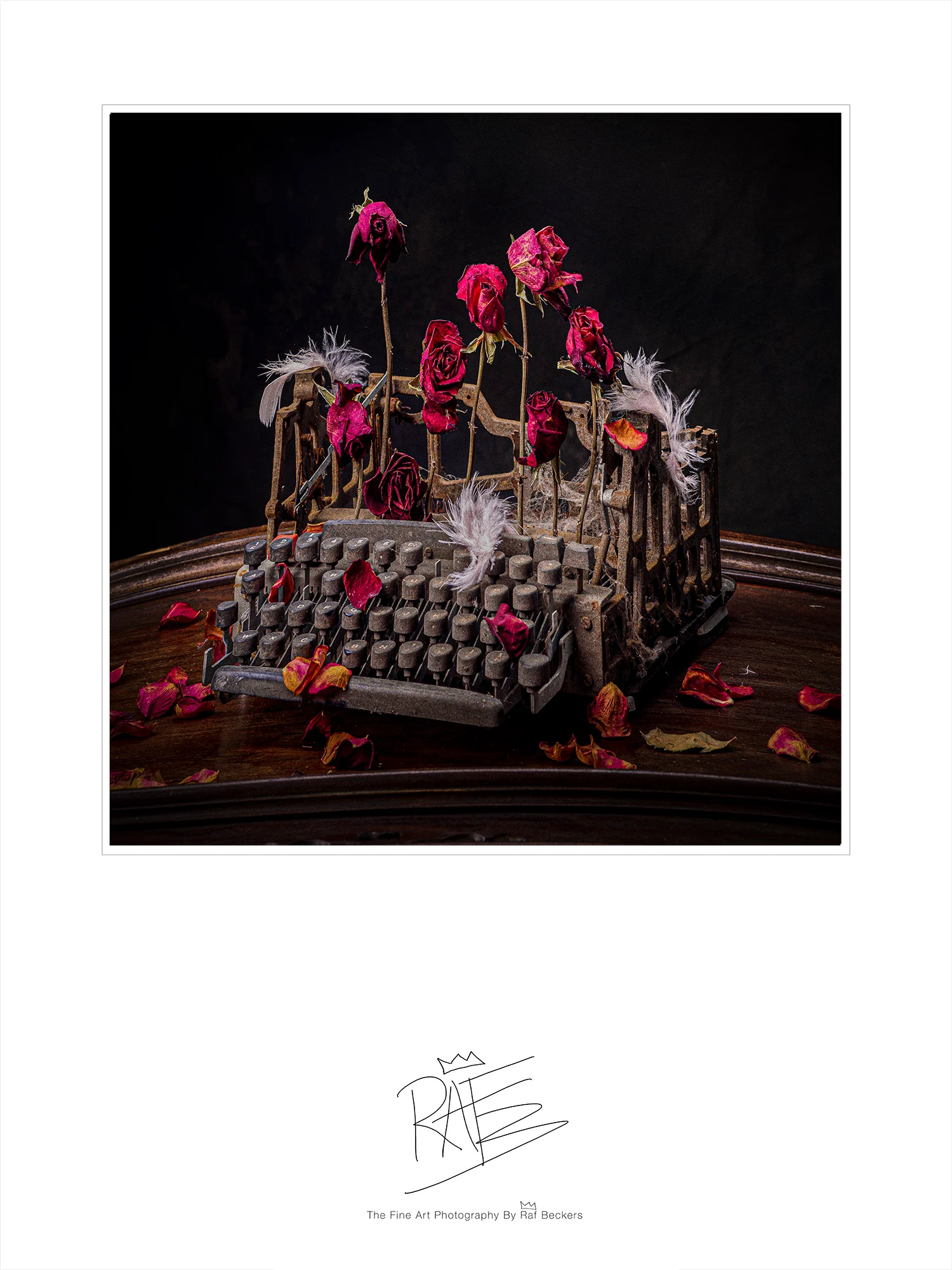 Fotografie bij Wie schrijft die blijft… en wie typt krijgt zere vingers., Raf Beckers