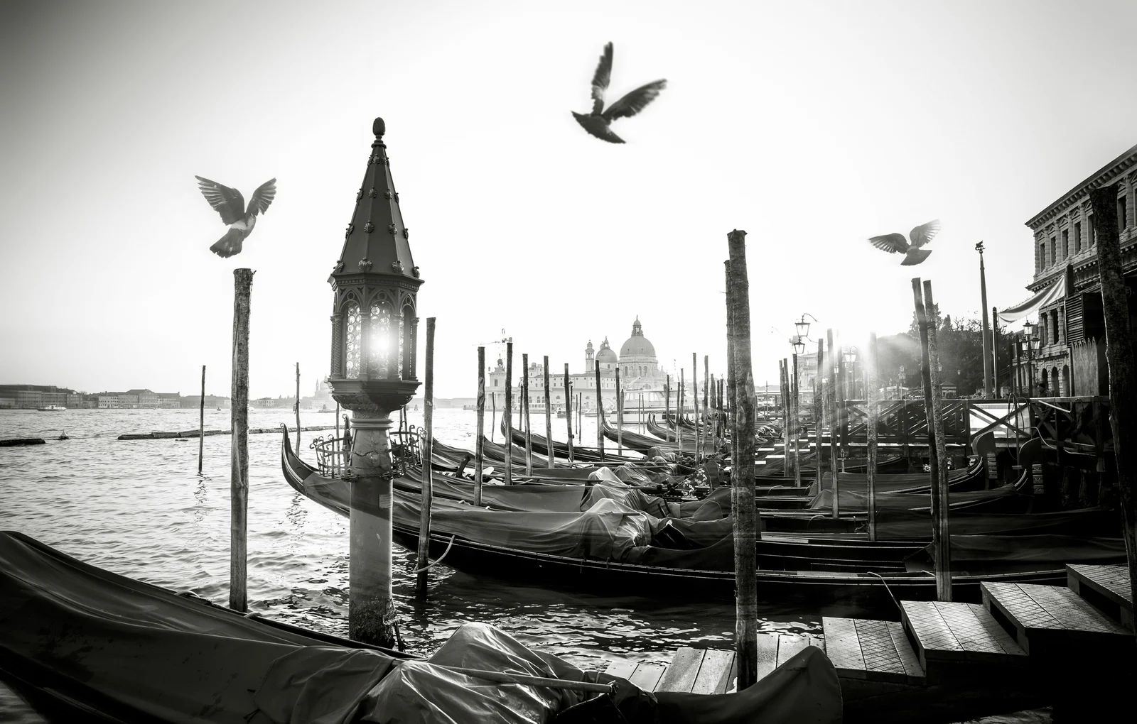 Black & White — foto 1, Raf Beckers
