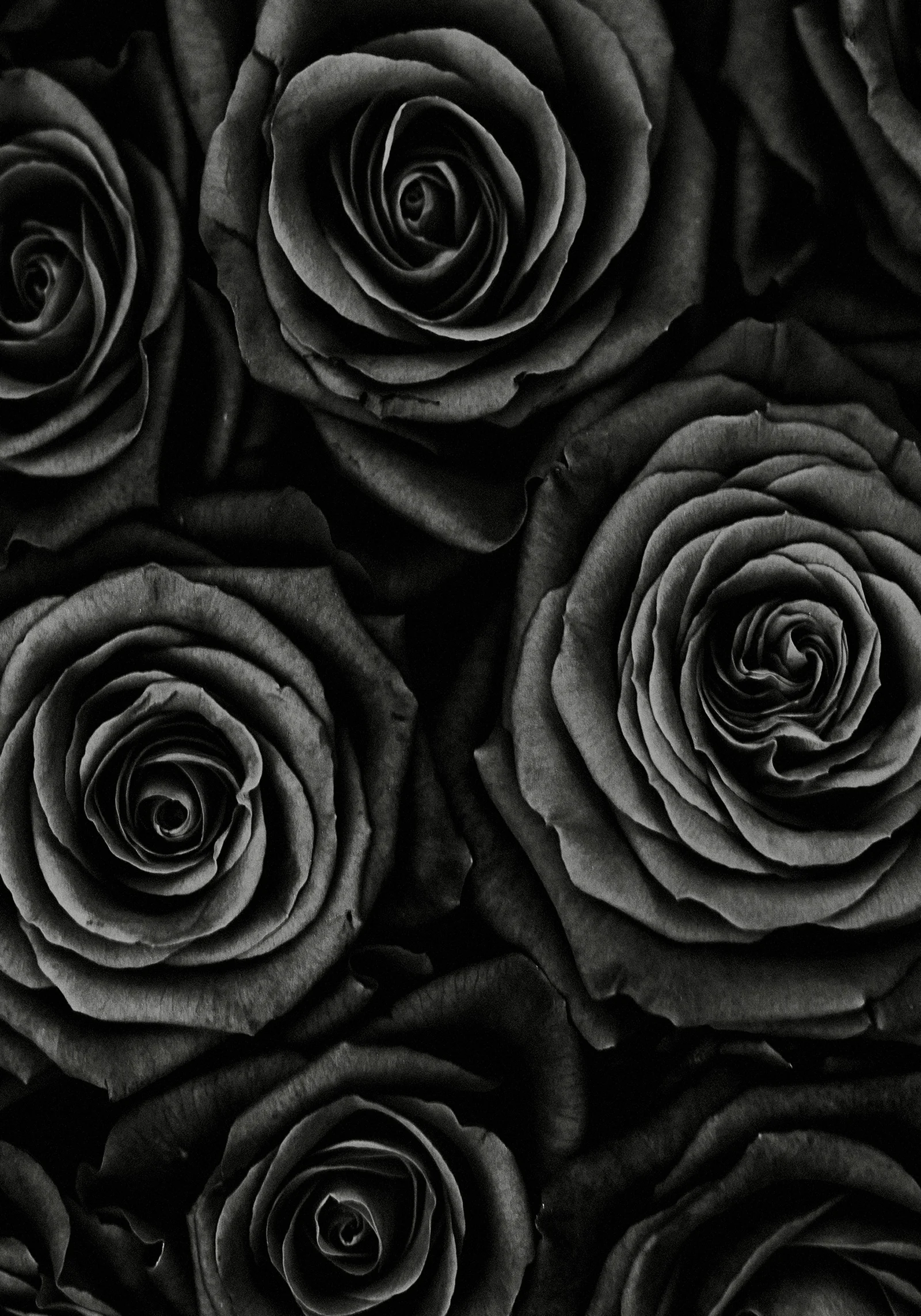 Black & White — foto 5, Raf Beckers