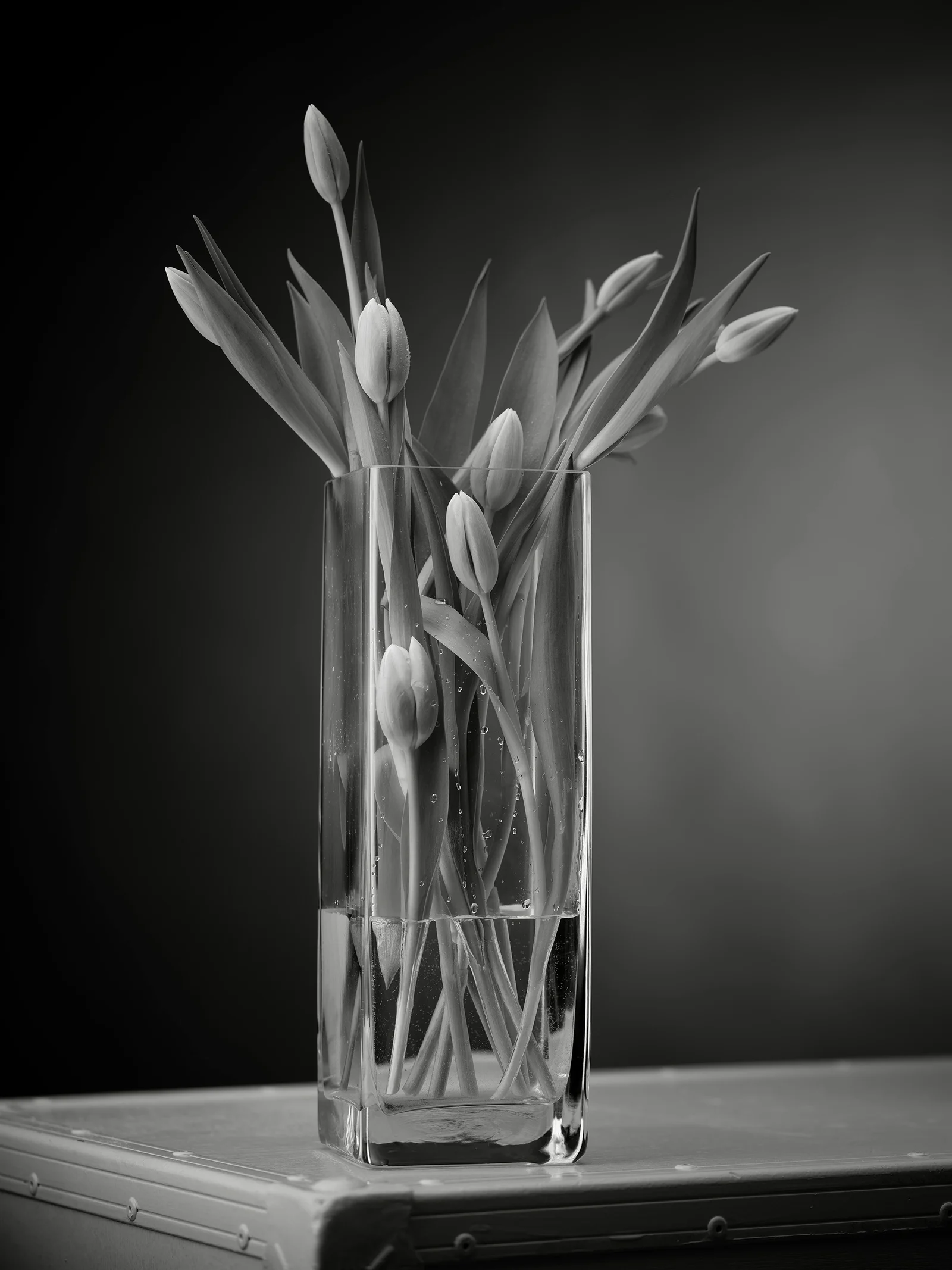 Black & White — foto 8, Raf Beckers
