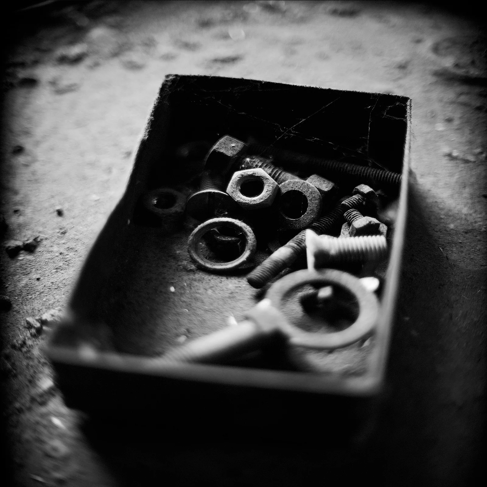 Black & White — foto 13, Raf Beckers