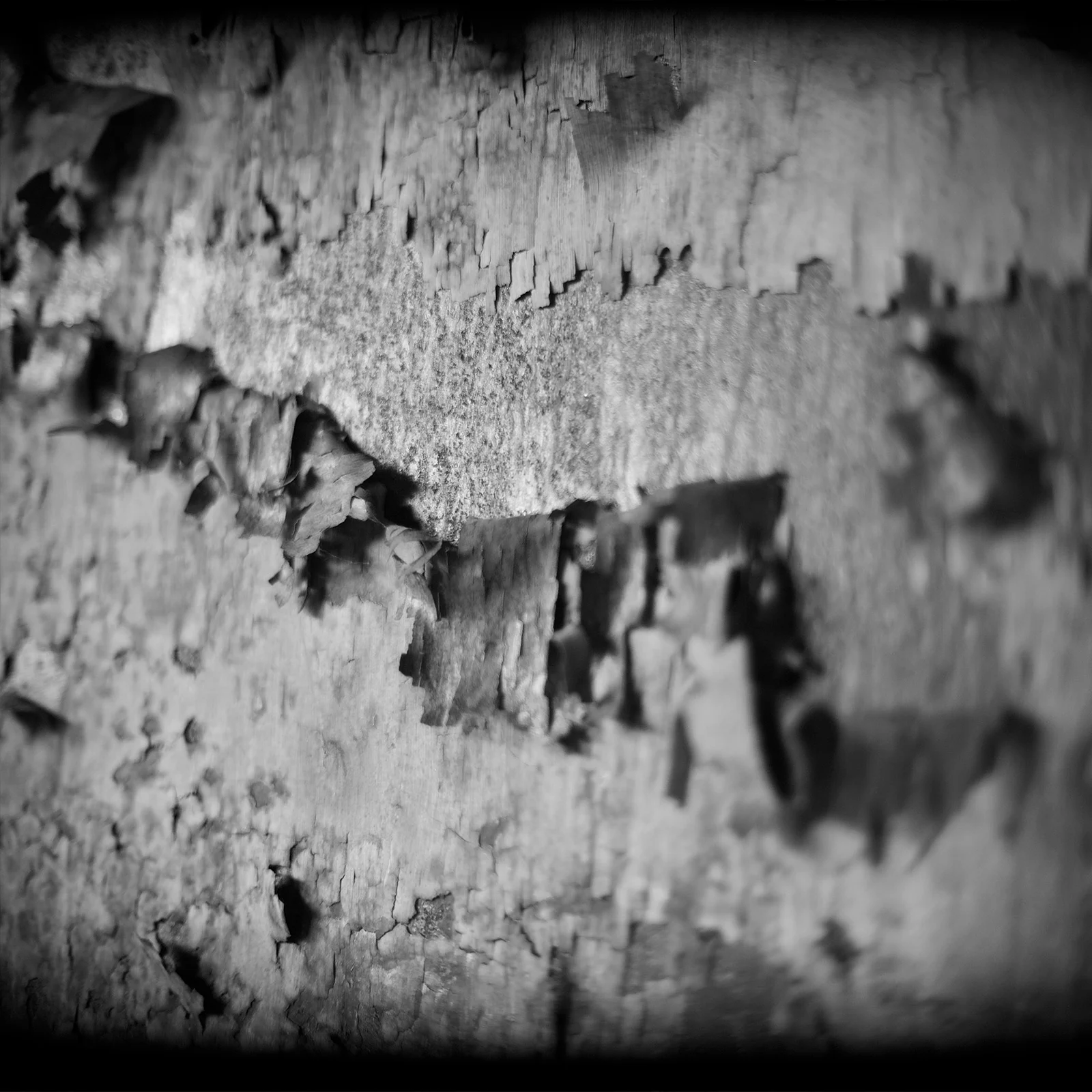 Black & White — foto 14, Raf Beckers