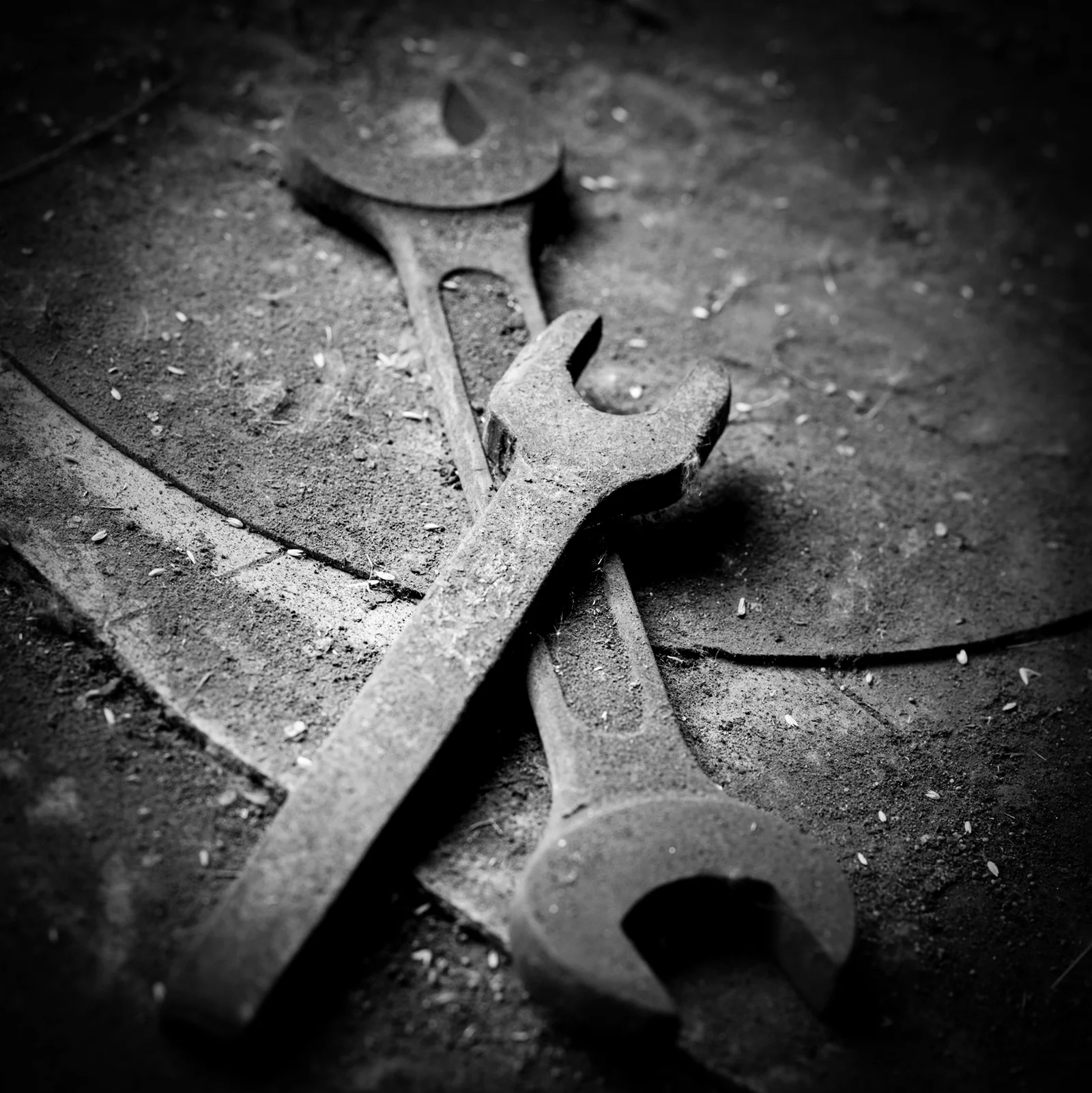 Black & White — foto 26, Raf Beckers