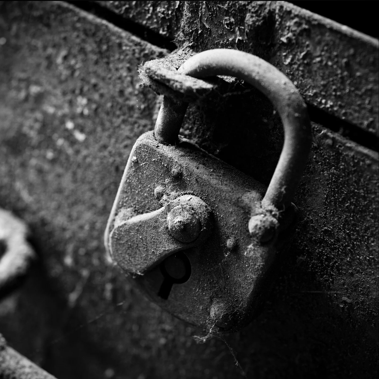 Black & White — foto 27, Raf Beckers