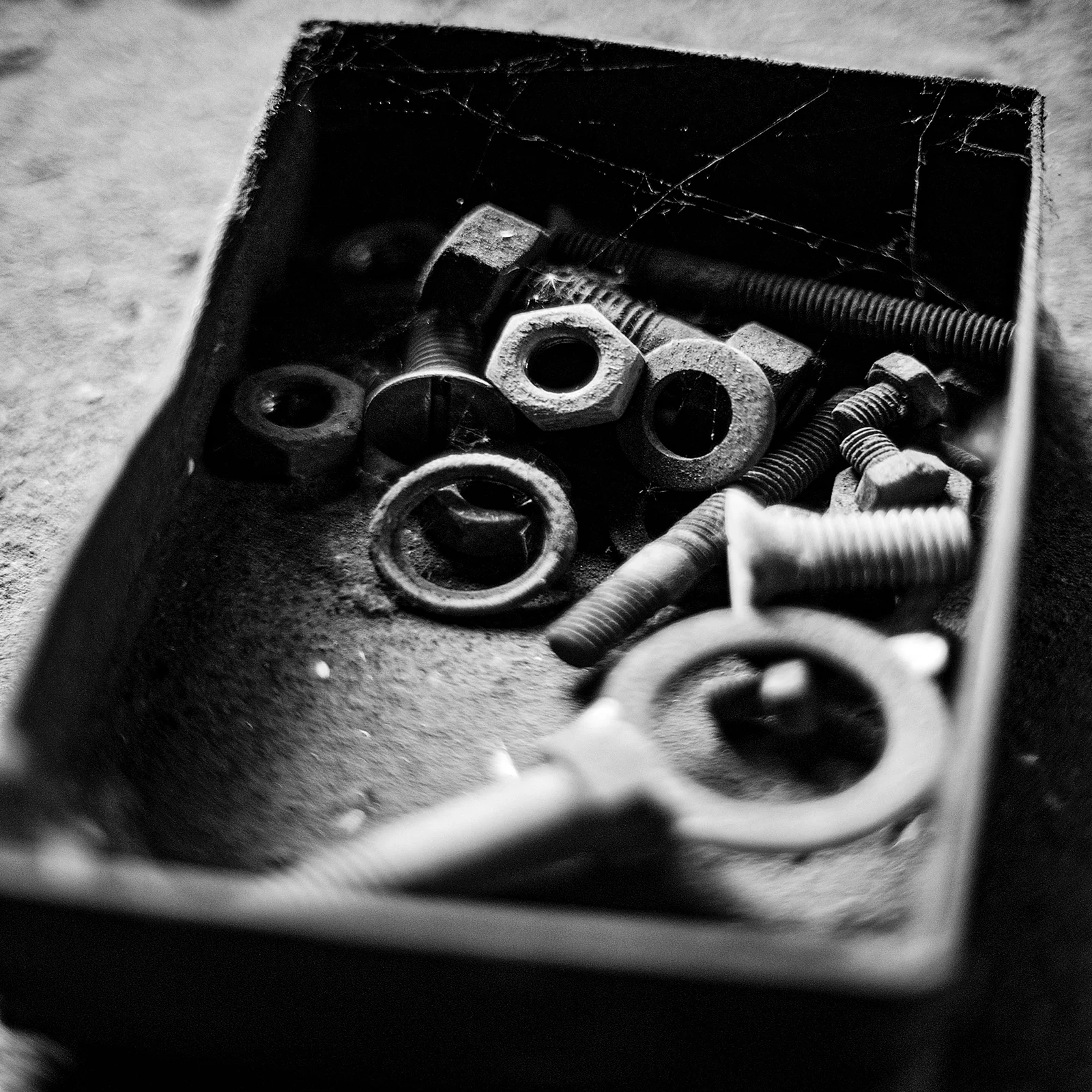 Black & White — foto 31, Raf Beckers